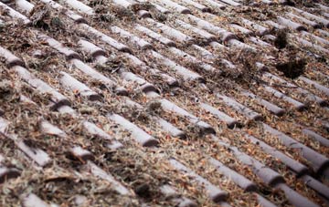 Pegsdon roof cleaning companies