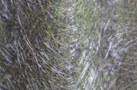 Pegsdon fibreglass roof work